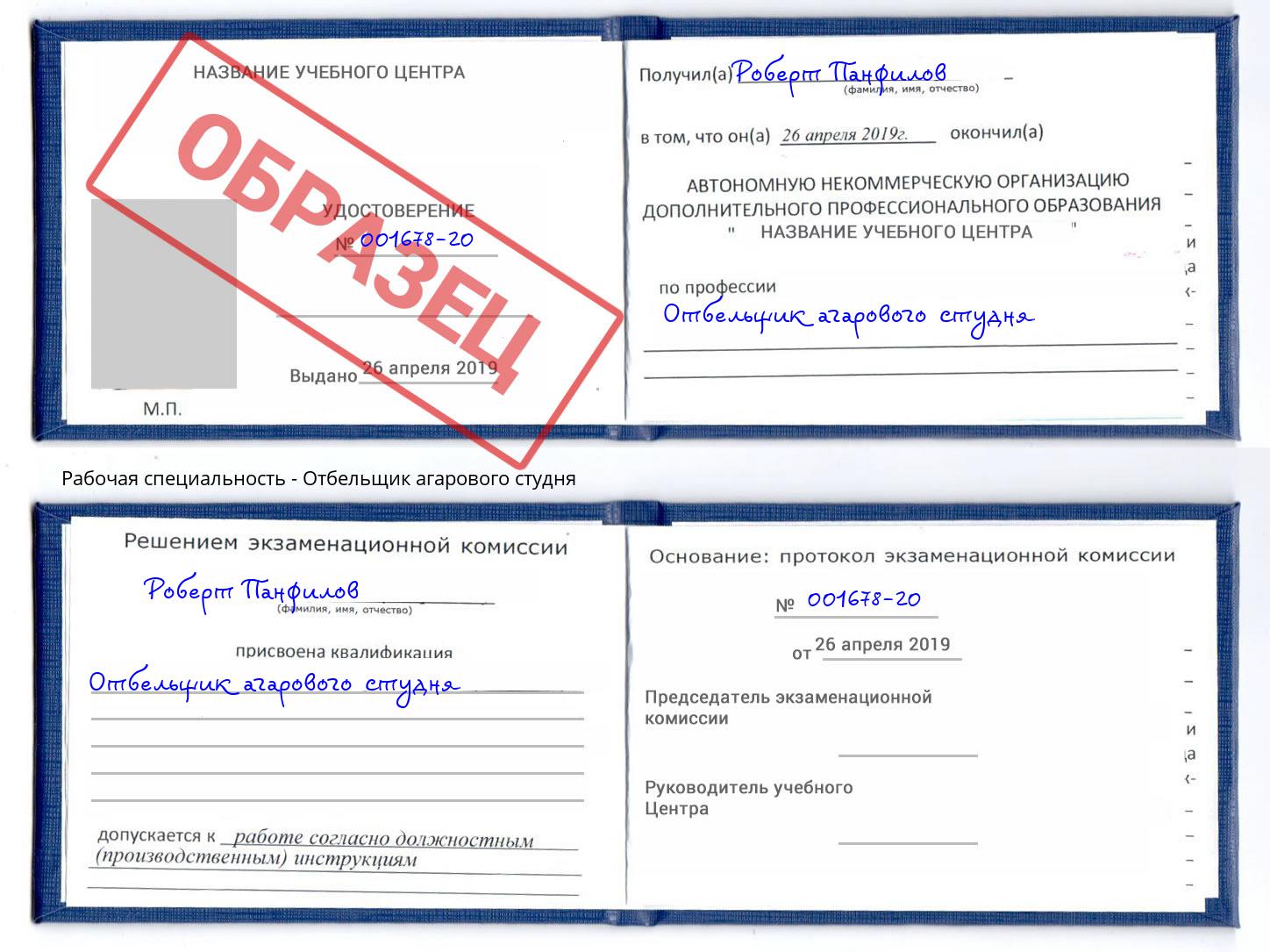 Отбельщик агарового студня Кингисепп
