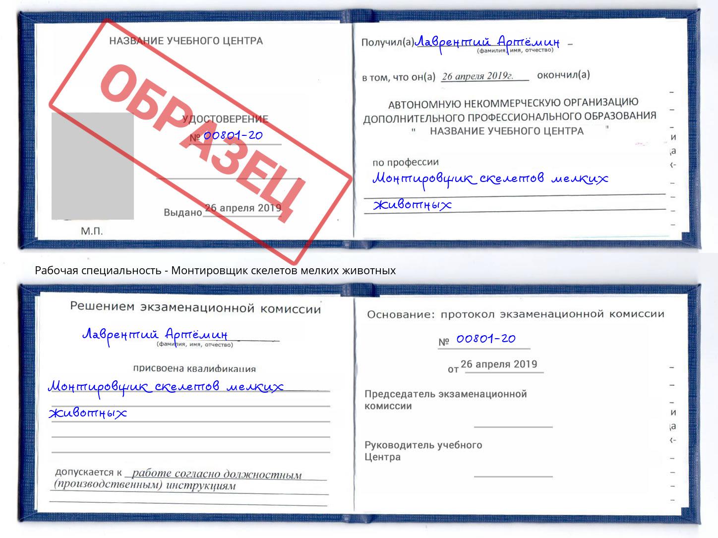 Монтировщик скелетов мелких животных Кингисепп