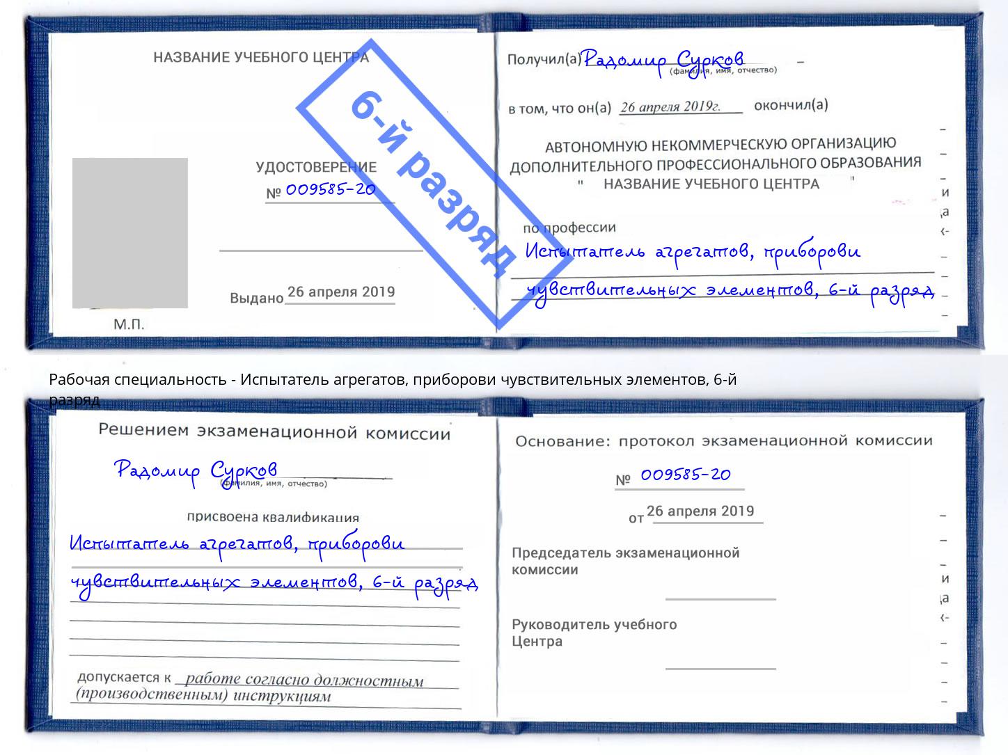 корочка 6-й разряд Испытатель агрегатов, приборови чувствительных элементов Кингисепп