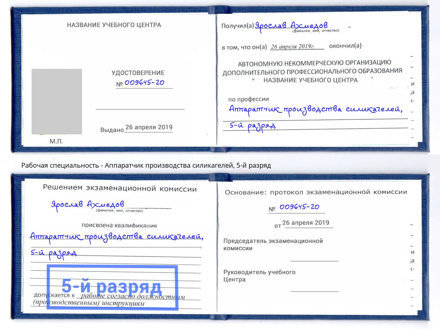 корочка 5-й разряд Аппаратчик производства силикагелей Кингисепп