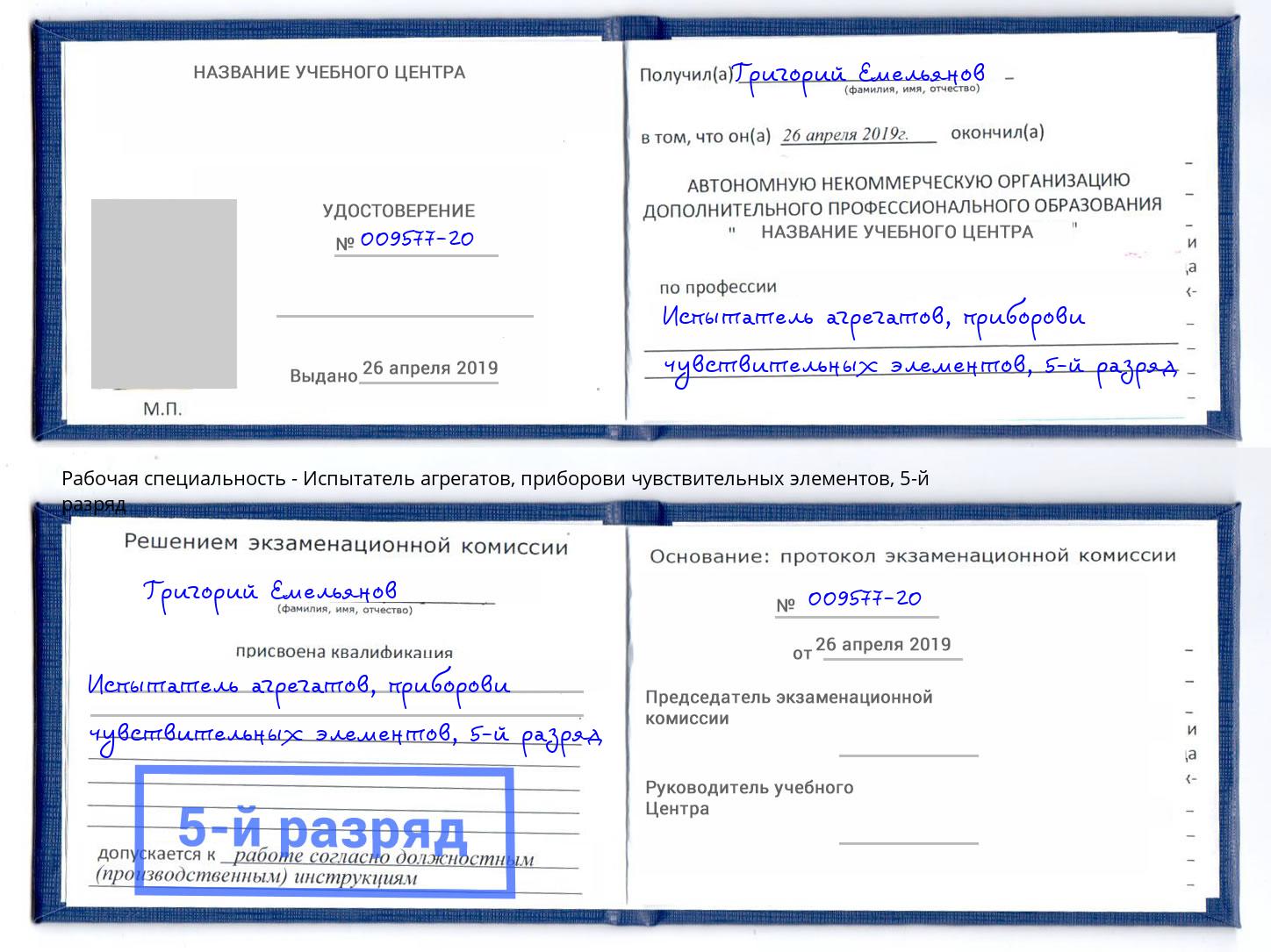 корочка 5-й разряд Испытатель агрегатов, приборови чувствительных элементов Кингисепп
