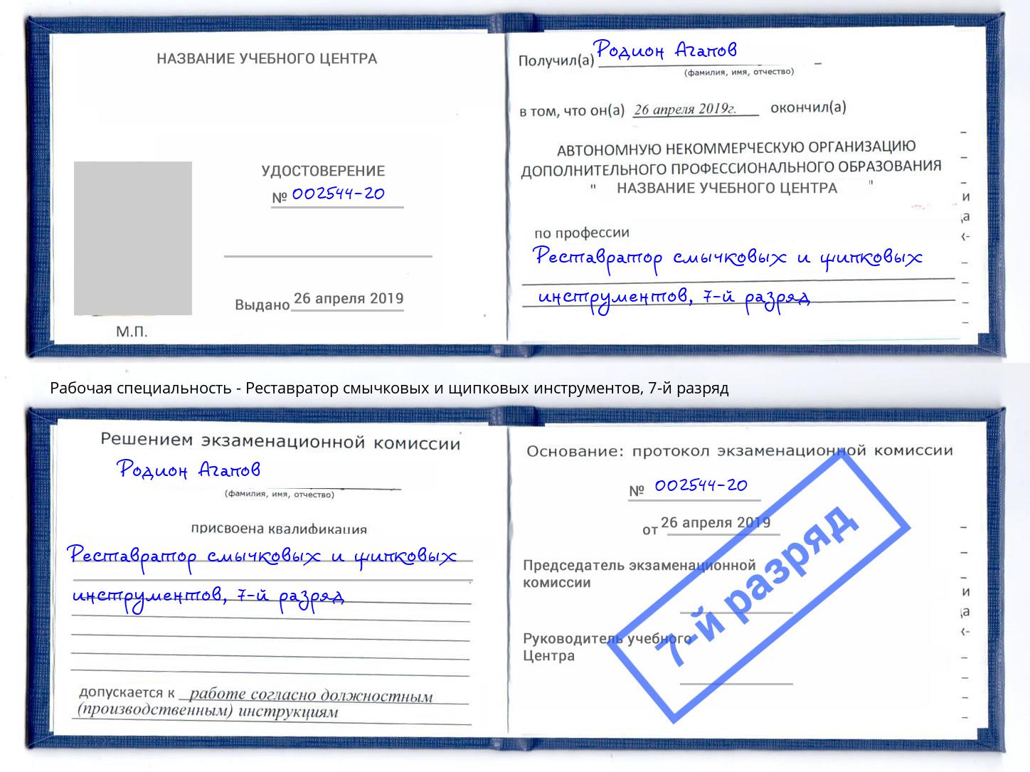 корочка 7-й разряд Реставратор смычковых и щипковых инструментов Кингисепп