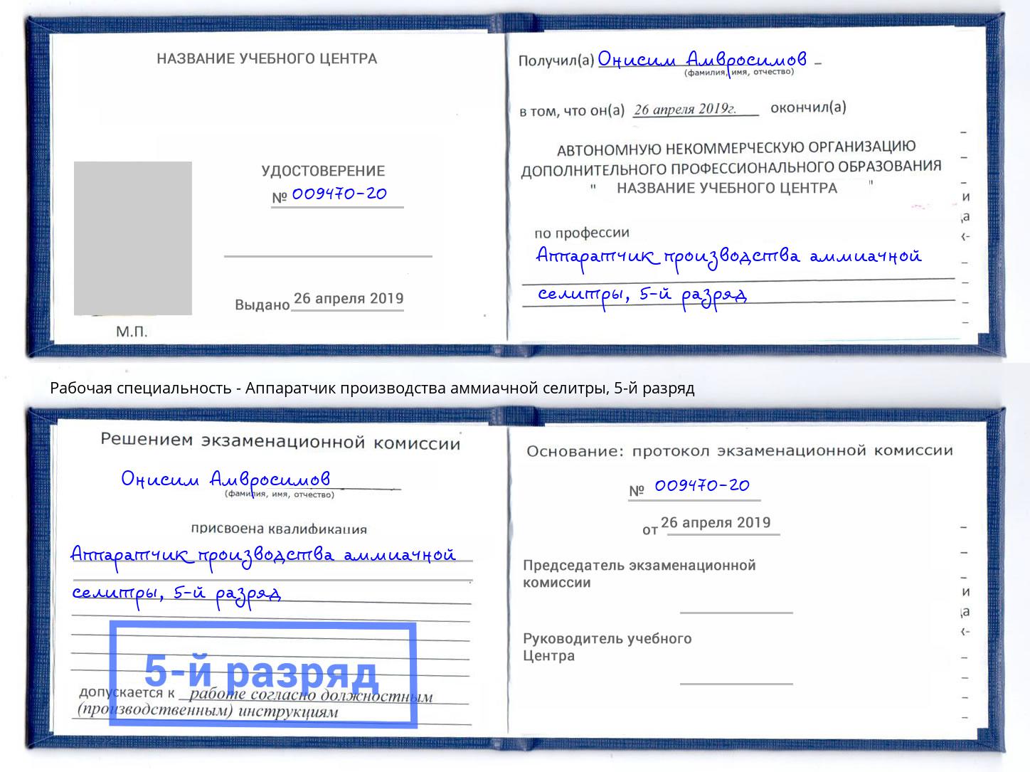 корочка 5-й разряд Аппаратчик производства аммиачной селитры Кингисепп