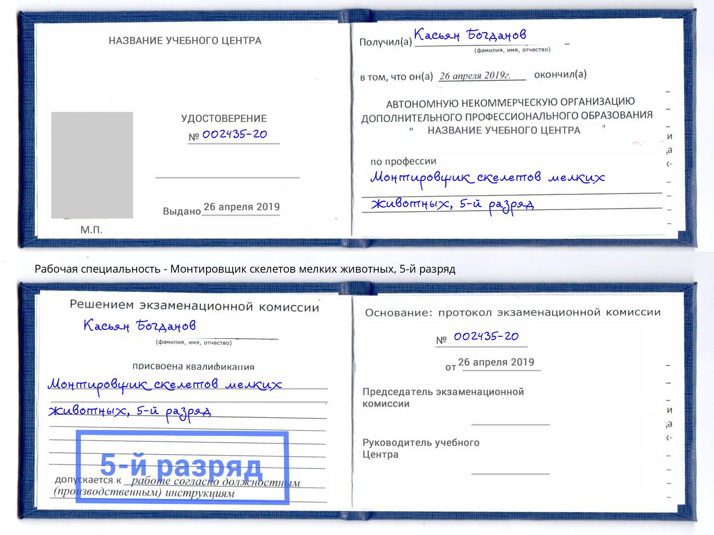 корочка 5-й разряд Монтировщик скелетов мелких животных Кингисепп