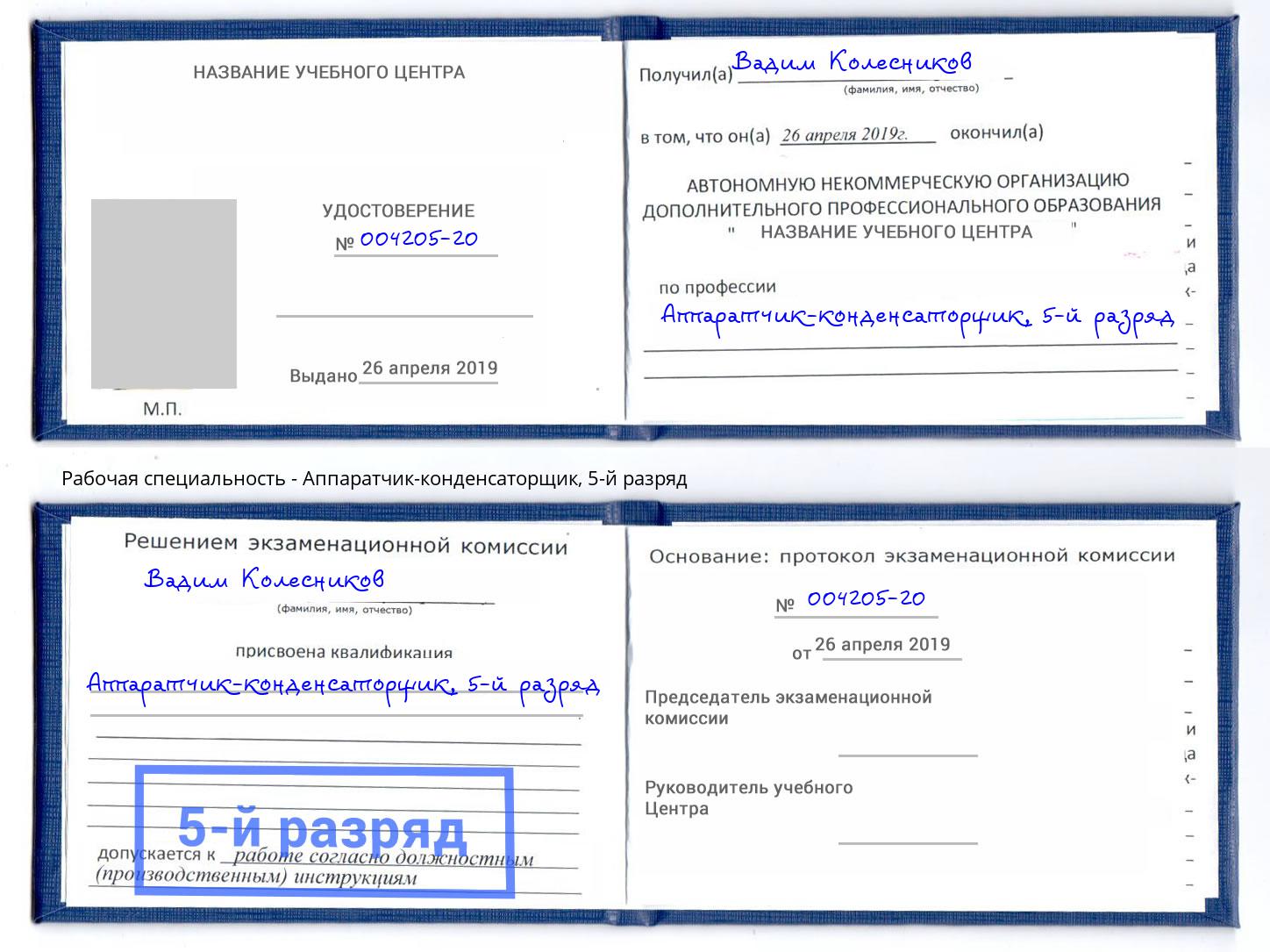корочка 5-й разряд Аппаратчик-конденсаторщик Кингисепп