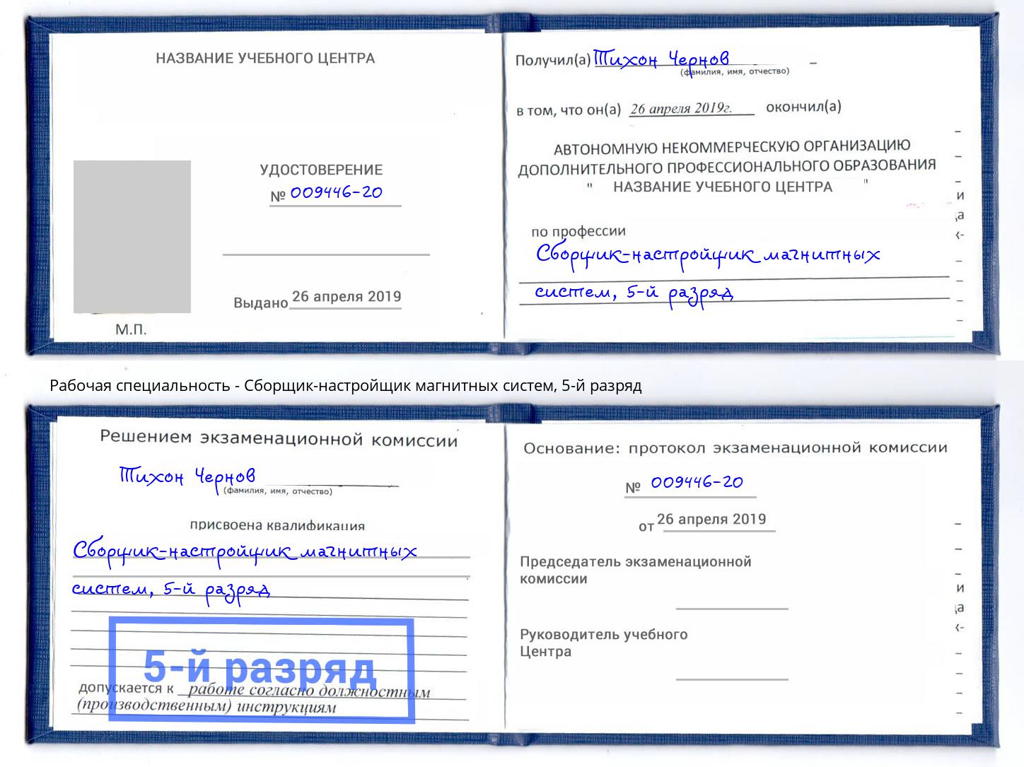 корочка 5-й разряд Сборщик-настройщик магнитных систем Кингисепп