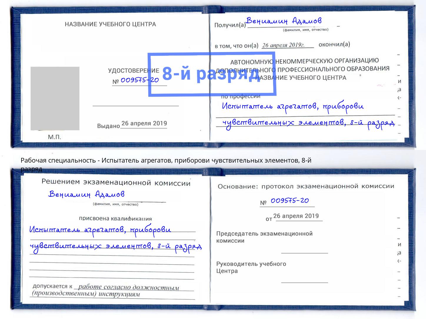 корочка 8-й разряд Испытатель агрегатов, приборови чувствительных элементов Кингисепп